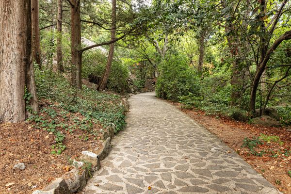 Stone Walkway Repair in Aurora