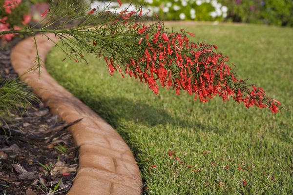 Brick Edging in Aurora