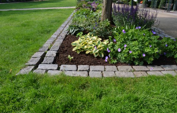 Stone Edging Installation in Aurora