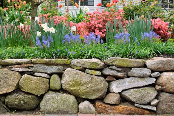 Stone Wall Hardscaping in Aurora