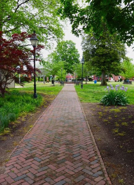 Brick Pathway Repair in Aurora