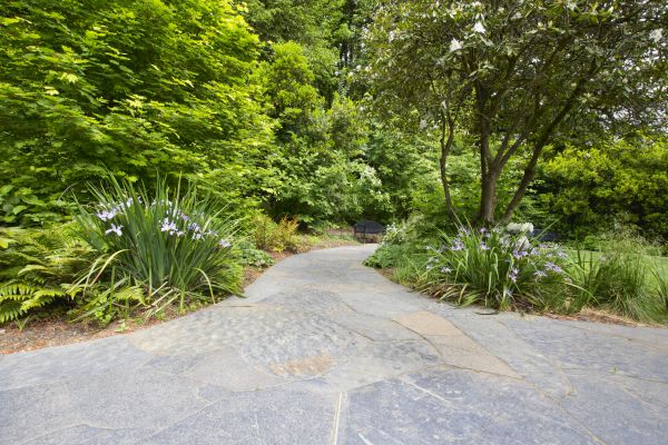 Stone Hardscape Service in Aurora