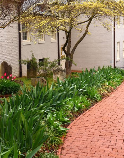 Brick Flatwork Repair in Aurora